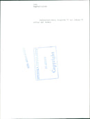 Festival guards have drinks at Pop music festival - Vintage Photograph