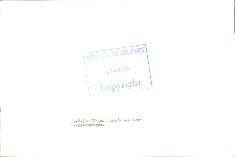 Music Festival - Vintage Photograph