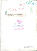 Autumn atmosphere in HumlegÃ¥rden - Vintage Photograph