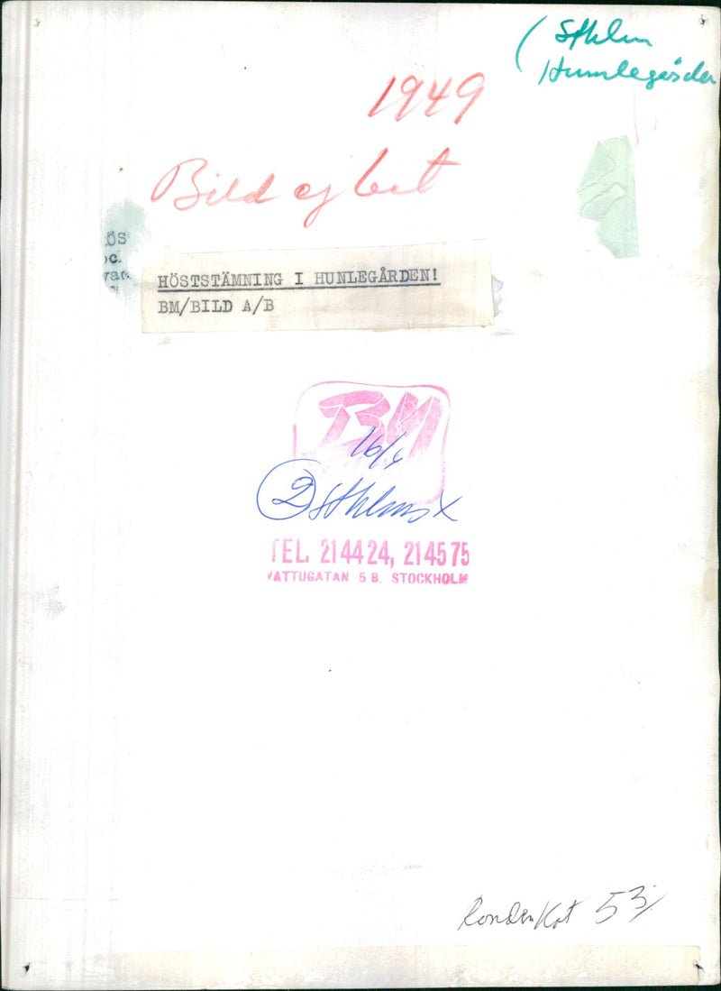 Autumn atmosphere in HumlegÃ¥rden - Vintage Photograph