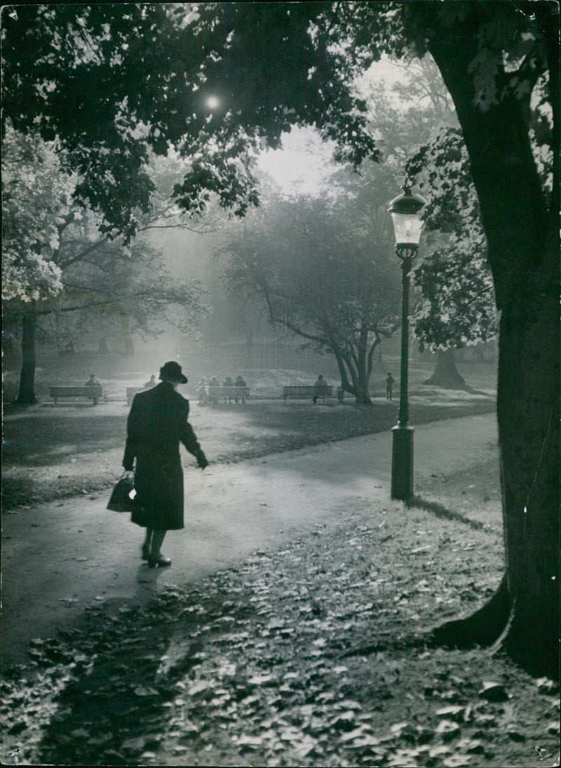 Autumn atmosphere in HumlegÃ¥rden - Vintage Photograph