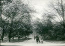 Humlegarden - Vintage Photograph