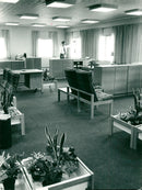 1969 PONULAVIUS BUT HAS MOVE SITTING LANDSCAPE ROOM EXCERPTS NYGREN LENNART - Vintage Photograph