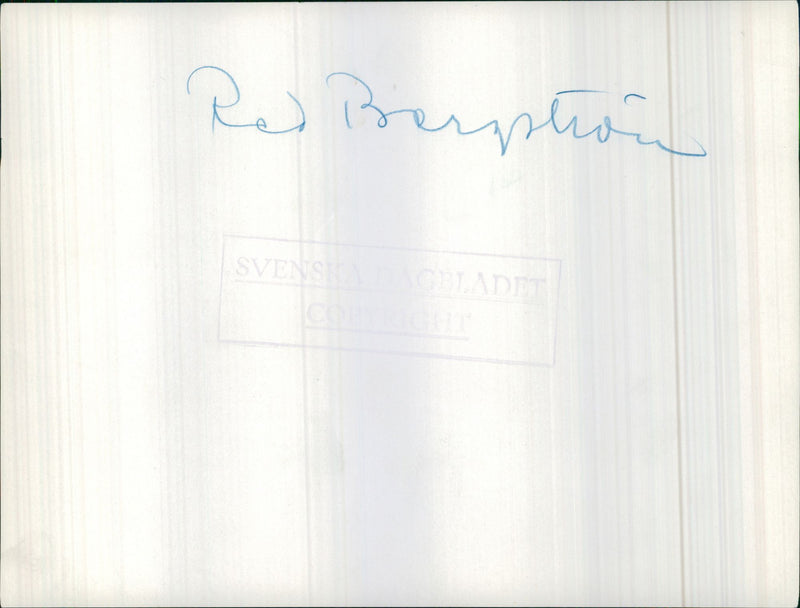 Haga park - Vintage Photograph