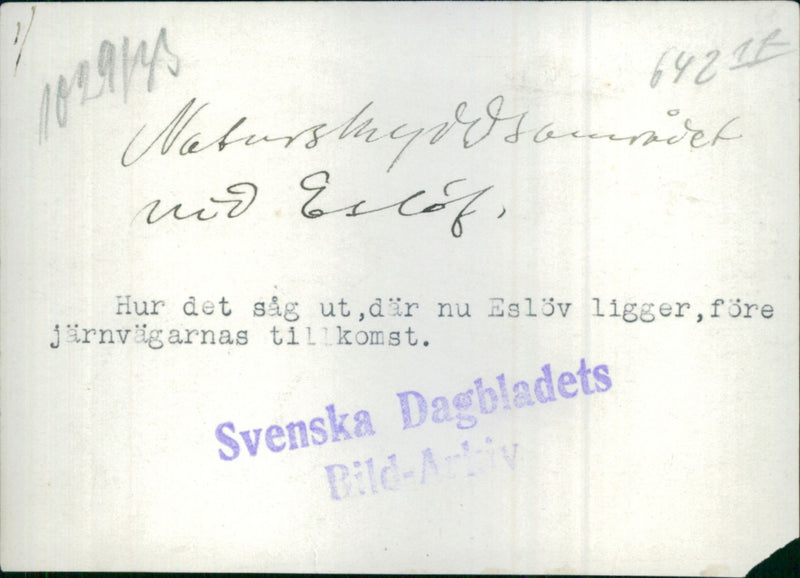 Nature in EslÃ¶v - Vintage Photograph