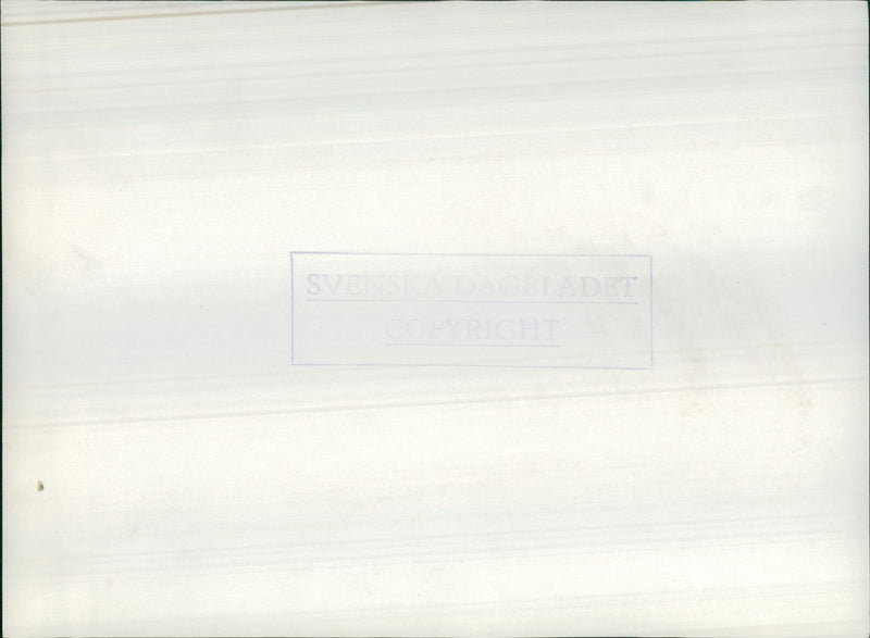 Model of Årstabroarna - Vintage Photograph