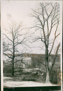 Bellevue Park at Brunnsviken - Vintage Photograph