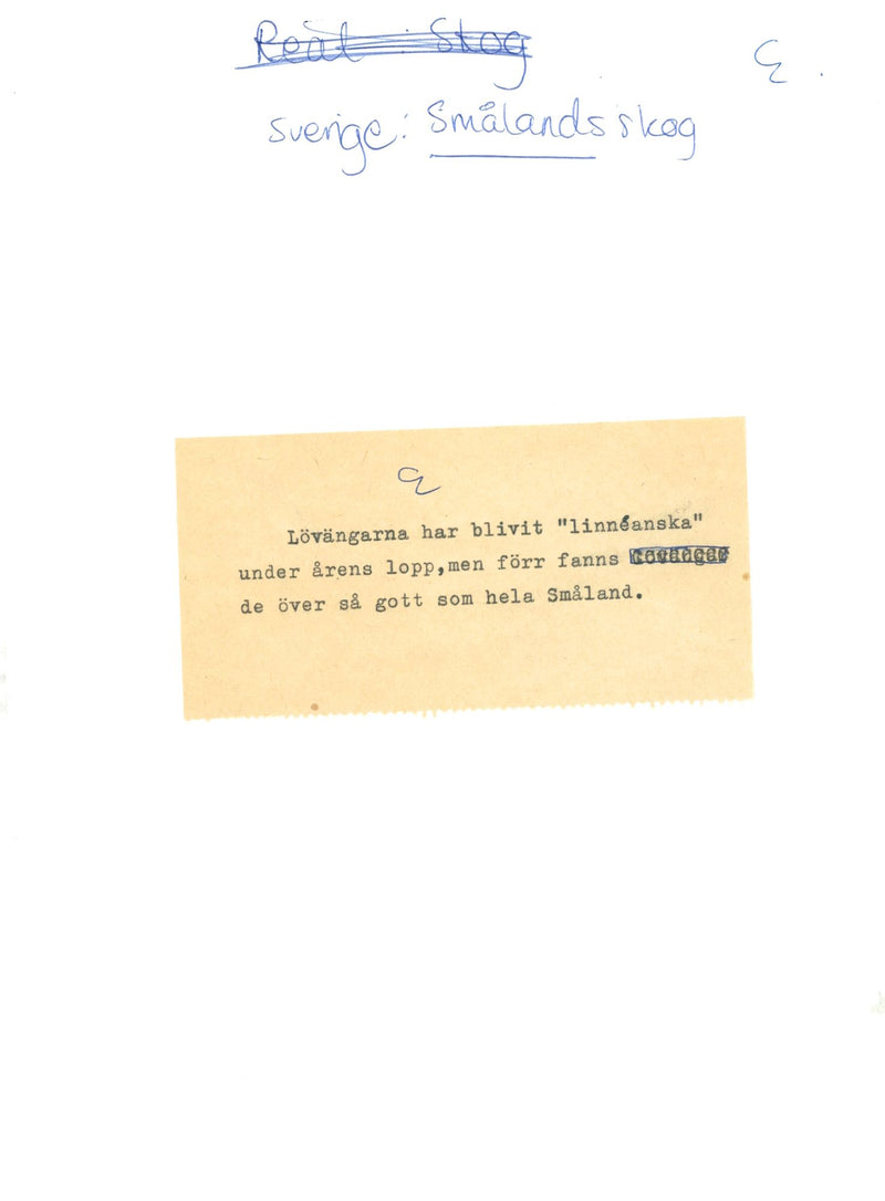 SMÅLAND - Vintage Photograph