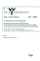 Robert Wells, pianist musician - Vintage Photograph