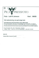 Robert Wells, pianist musician - Vintage Photograph