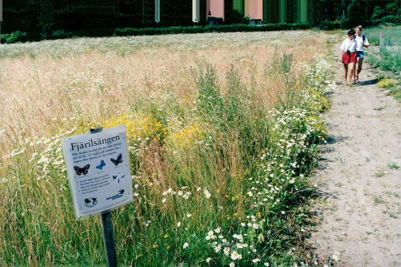 The butterfly house in Hagaparken. - Vintage Photograph