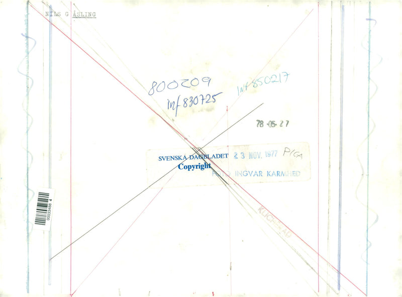 Swedish politician Nils G. Åsling - Vintage Photograph