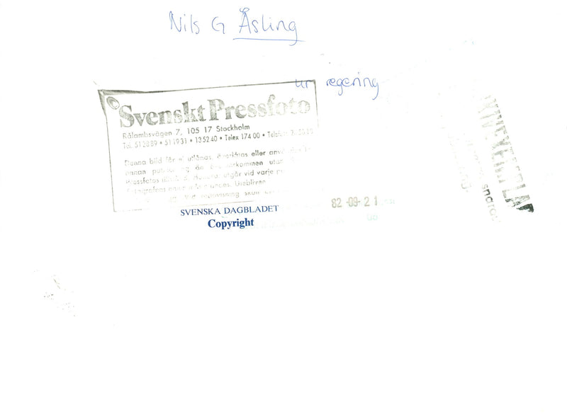 Swedish politician Nils G. Åsling - Vintage Photograph