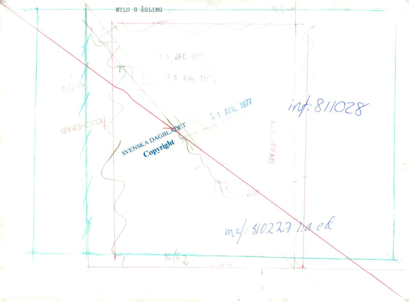 Swedish politician Nils G. Åsling - Vintage Photograph