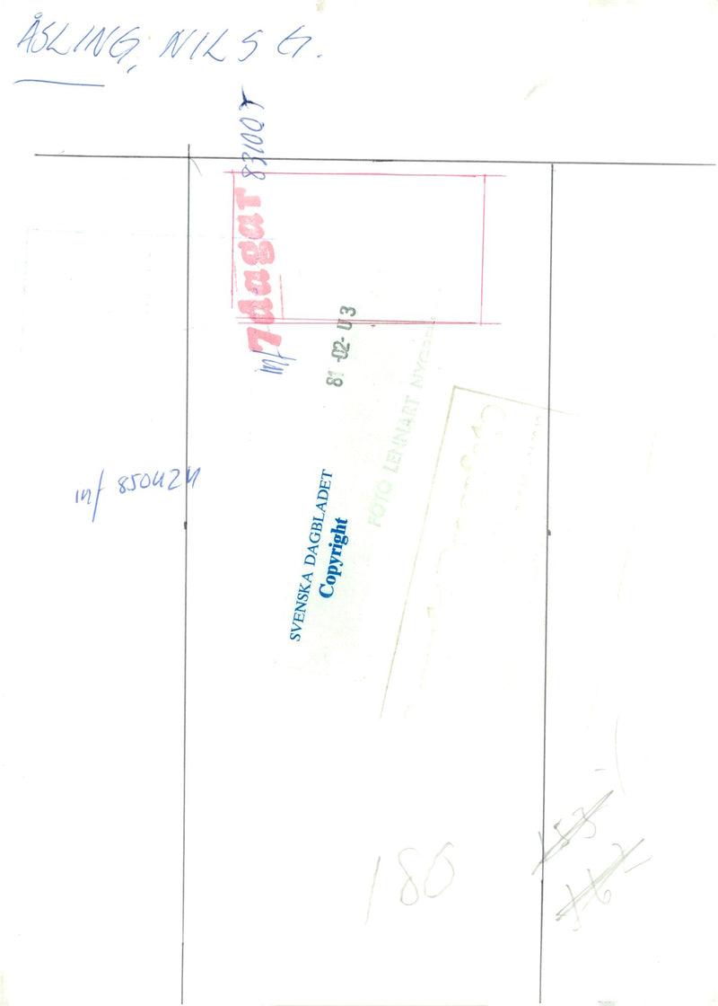 Swedish politician Nils G. Åsling - Vintage Photograph