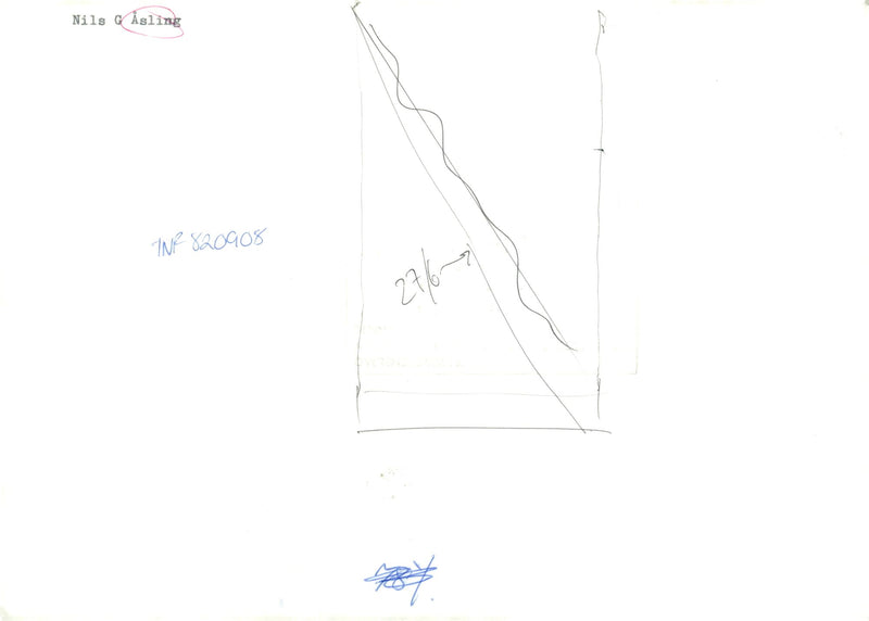 Swedish politician Nils G. Åsling - Vintage Photograph