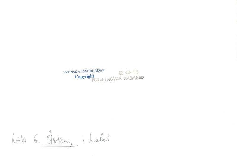 Swedish politician Nils G. Åsling - Vintage Photograph