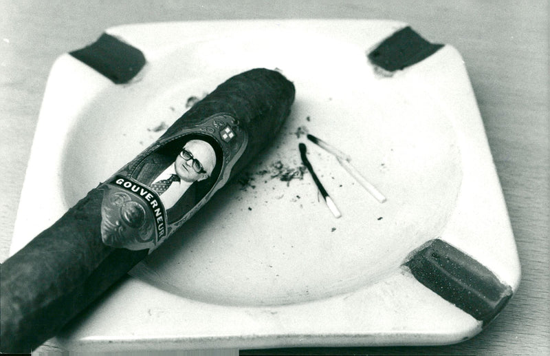 Swedish politician Nils G. Åsling - Vintage Photograph