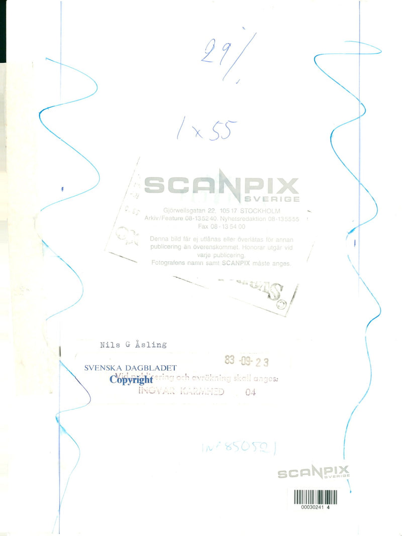 Swedish politician Nils G. Åsling - Vintage Photograph