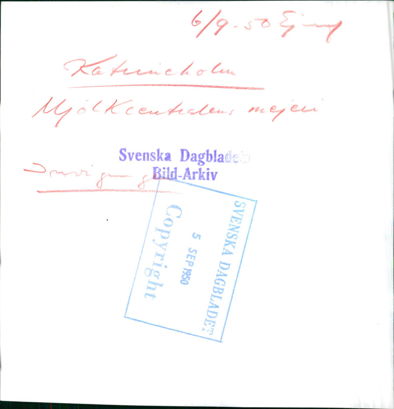 Katrineholm - concert - Vintage Photograph