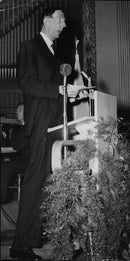 Katrineholm - The poet prince inaugurated - Vintage Photograph