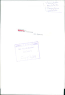 Skansen music at sun time. - Vintage Photograph