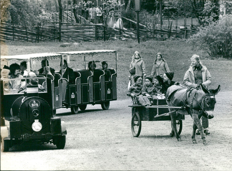 Skansen music at sun time. - Vintage Photograph