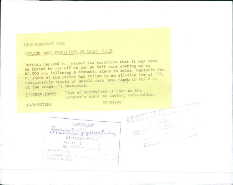 Leyland Cars stockpiled BL cars - Vintage Photograph