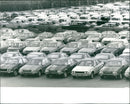 Leyland Cars stockpiled BL cars - Vintage Photograph