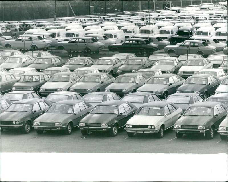 Leyland Cars stockpiled BL cars - Vintage Photograph
