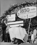 Skansen, Rural Day - Vintage Photograph