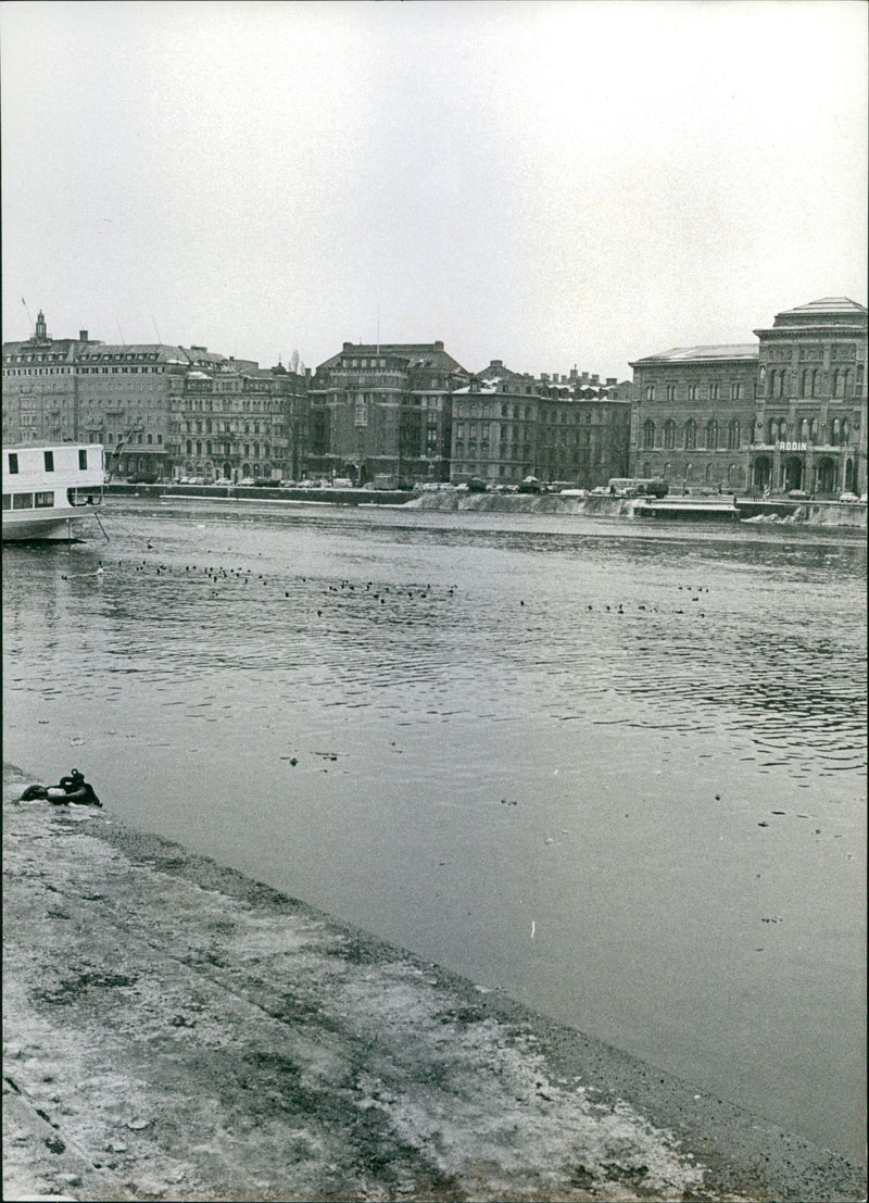 Blasieholmen - Vintage Photograph