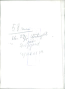 Cat in Ed's parsonage - Vintage Photograph