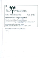 Trade and industry - Vintage Photograph