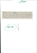 Livestock herd on high plateau in Tanzania - Vintage Photograph