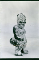 East Asian collection monkeys. MUSEUM - Vintage Photograph