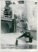 1959 HAS SIGHT ANIMALS ESKILSTUNA THEIR AUDIENCE PEOPLES LILL DJUKOTAR - Vintage Photograph