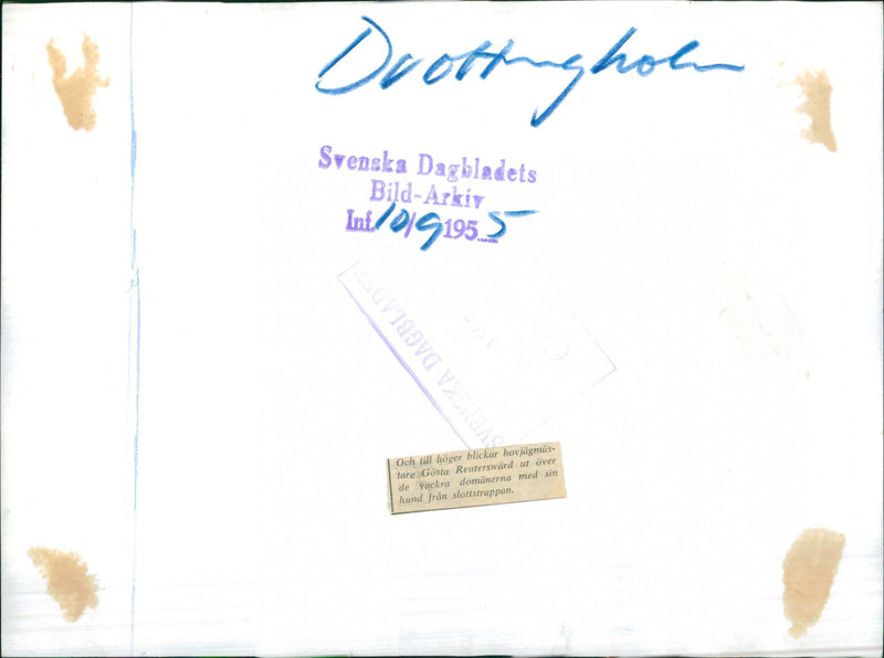 Drottningholm Slottsparken & the sheep - Vintage Photograph