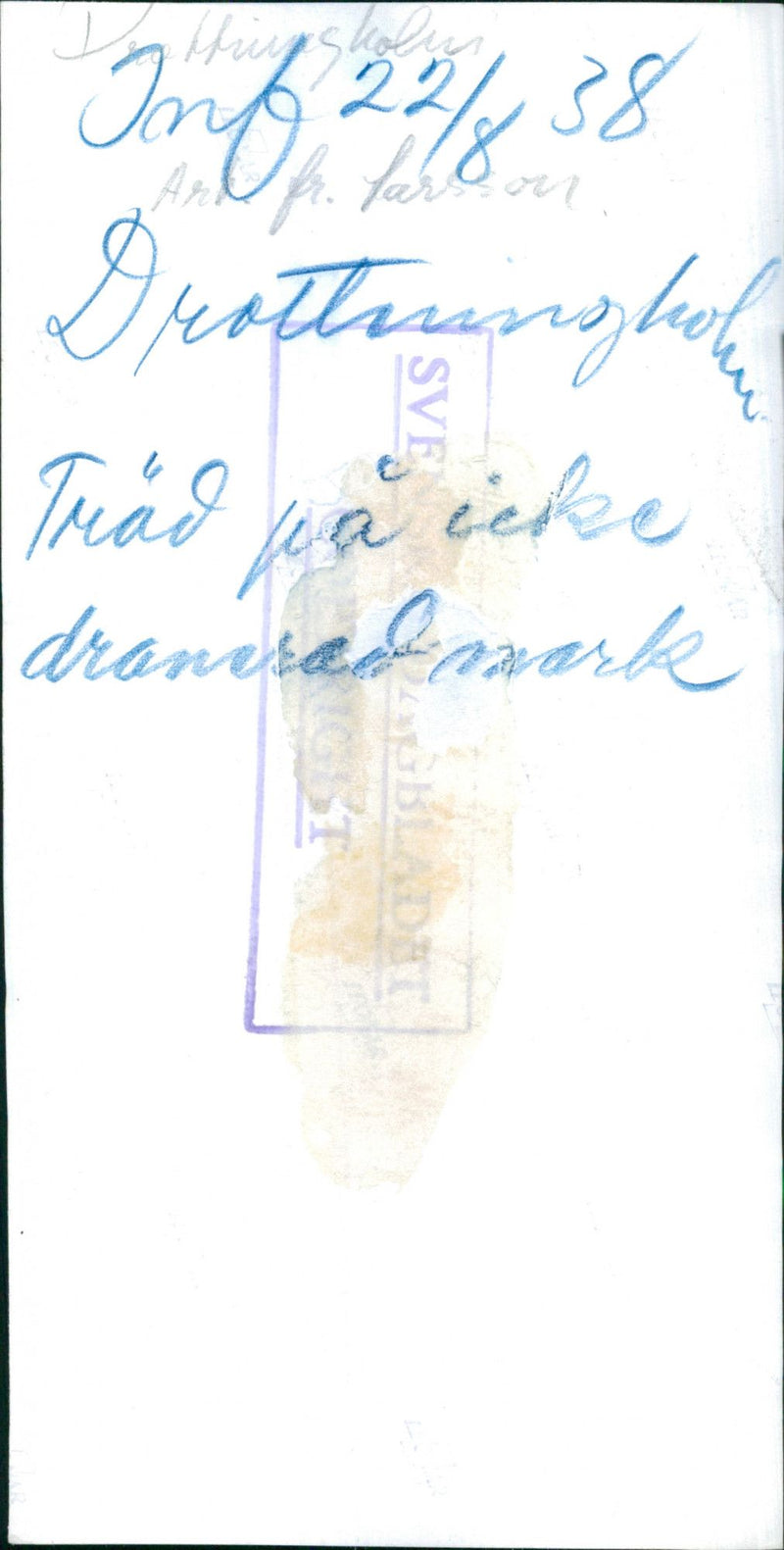 Drottningholm Slottsparken & the sheep - Vintage Photograph