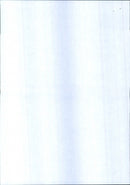 National Trust Concerts 1983 - Vintage Photograph