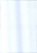 National Trust Concerts 1983 - Vintage Photograph