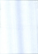 National Trust Concerts 1983 - Vintage Photograph