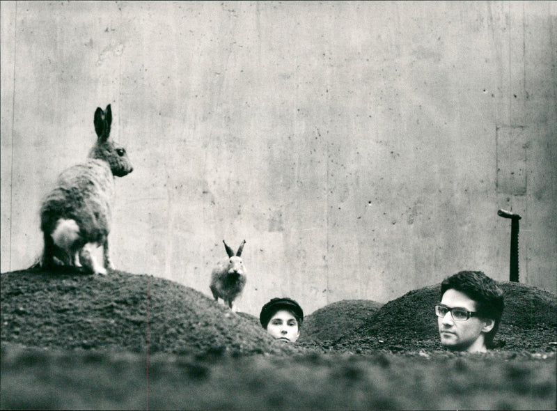 1987 VINGAKER SECRET MYCKELHARPA EVENING LANDSCAPE THEIR HEADS SAGAR ENE AND SZY - Vintage Photograph