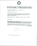 STOCKHOLM: Skansen Animals Elephants - Vintage Photograph