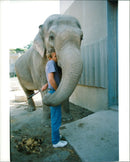 STOCKHOLM: Skansen Animals Elephants - Vintage Photograph