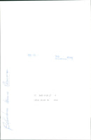 STOCKHOLM: Skansen Animals Elephants - Vintage Photograph