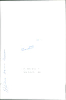 STOCKHOLM: Skansen Animals Elephants - Vintage Photograph