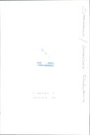 STOCKHOLM: Skansen Animals Elephants - Vintage Photograph