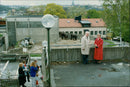 STOCKHOLM: Skansen Animals Elephants - Vintage Photograph