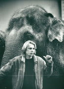 STOCKHOLM: Skansen Animals Elephants - Vintage Photograph